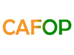 resultats-des-affectations-cafop-2024-cote-divoire